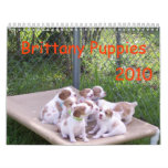 Brittany Puppies 2010 Wall Calendars