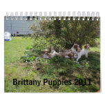 Brittany Puppies 2011 Wall Calendars