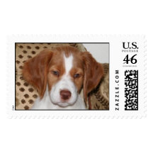 Brittany Puppy Stamp