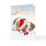 Brittany Santa Takes So Long Cards
