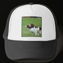 Brittany Spaniel cap hats