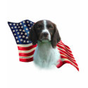 Brittany Spaniel Flag t-shirts