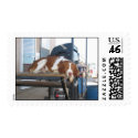 Brittany Spaniel: Lazy Dog Afternoon postage