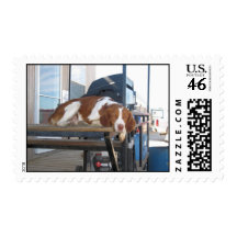 Brittany Spaniel: Lazy Dog Afternoon Postage Stamps