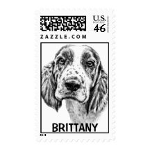 Brittany Spaniel Postage Stamp