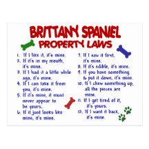 BRITTANY SPANIEL Property Laws 2 Postcard