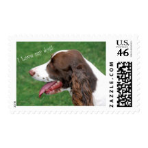 Brittany Spaniel Stamp