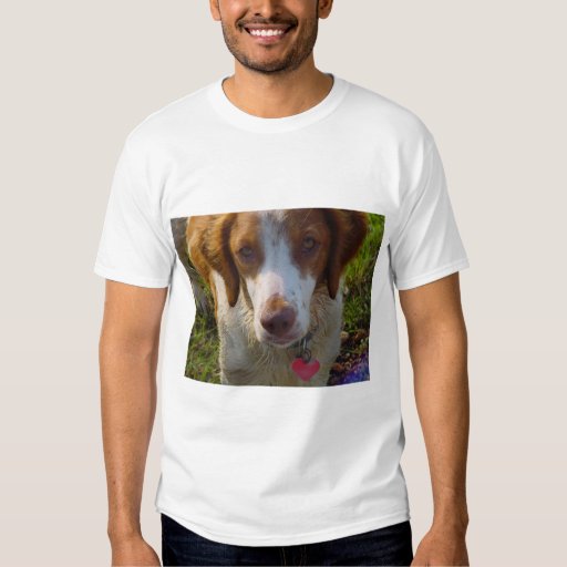 brittany spaniel shirt