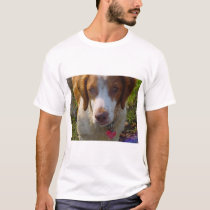 Brittany Spaniel t-shirts by datana Brittany Spaniel t-shirts