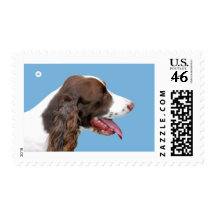 Brittany Spaniels Postage