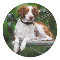 Brittany stickers by helen2000g Brittany stickers