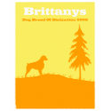 Brittany t-shirts