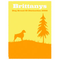 Brittany t-shirts by helen2000g Brittany t-shirts