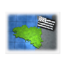 Brittany with its own flag post card