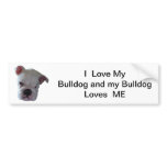 Brittish Bulldog puppy Bumper Stickers