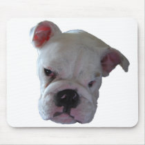 Brittish Bulldog puppy mousepads