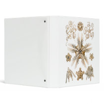 Brittle stars vinyl binders