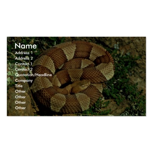 Broad-banded copperhead business cards (front side)