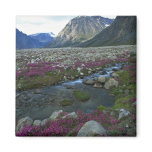 Broad-leafed willow herb and stream, Baffin Island Fridge Magnets