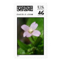 Broad Leafed Willowherb postage by kokobaby Broad Leafed Willowherb postage