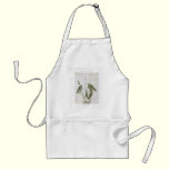 Broad-Leaved Arrowhead - Sagittaria latifolia aprons