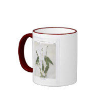 Broad-Leaved Arrowhead - Sagittaria latifolia Mug