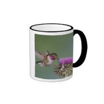 Broad-tailed Hummingbird, Selasphorus 2 Coffee Mugs
