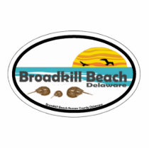 Broadkill Beach Delaware. photo sculptures