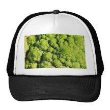 Brocco Flower Vegetable Hat