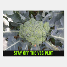 Broccoli Custom veg Plot Sign