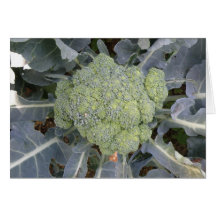 Broccoli Greeting Card