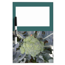 Broccoli Memo Board Dry Erase Board