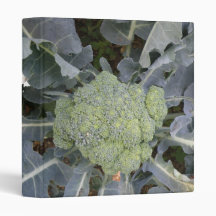 Broccoli Photo Album Binder