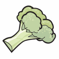 broccoli photo sculptures by doonidesigns broccoli photo sculptures