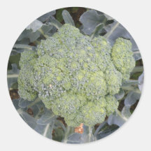 Broccoli Stickers
