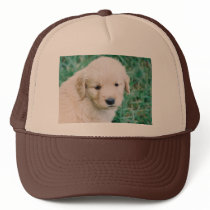Brody Mack Ball Cap hats