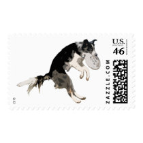 Brody postage