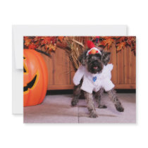 Brody - Yorkiepoo invitations