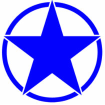Broken Circle Star Blue photo sculptures