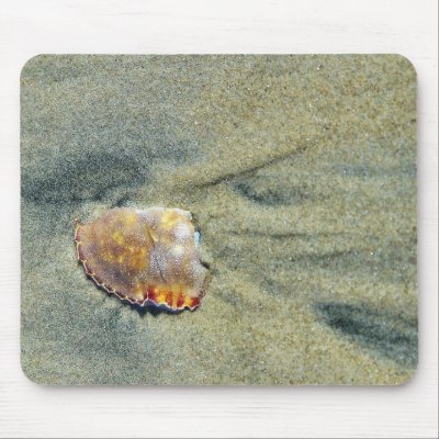 Broken Crab Shell On The Silver Strand Beach In Co Mousepad by lifesphere