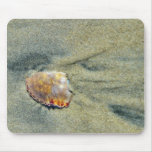 Broken Crab Shell On The Silver Strand Beach In Co Mousepad