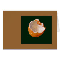 BROKEN EGG SHELL: ART: REALISM cards by joyart BROKEN EGG SHELL: ART: REALISM cards
