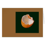 BROKEN EGG SHELL: ART: REALISM cards