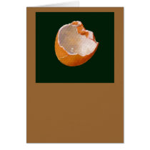 BROKEN EGG SHELL: ART: REALISM cards by joyart BROKEN EGG SHELL: ART: REALISM cards