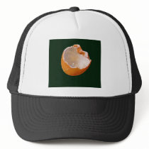 BROKEN EGG SHELL: ART: REALISM hats by joyart BROKEN EGG SHELL: ART: REALISM hats