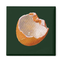 BROKEN EGG SHELL: ART: REALISM magnets by joyart BROKEN EGG SHELL: ART: REALISM magnets