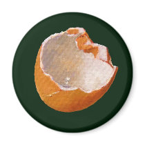BROKEN EGG SHELL: ART: REALISM magnets by joyart BROKEN EGG SHELL: ART: REALISM magnets