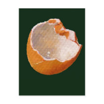 BROKEN EGG SHELL: ART: REALISM postcards by joyart BROKEN EGG SHELL: ART: REALISM postcards