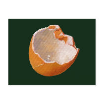 BROKEN EGG SHELL: ART: REALISM postcards by joyart BROKEN EGG SHELL: ART: REALISM postcards