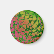 Broken Glass Rainbow Fridge Magnet